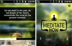 Dharma-Meditation