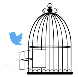 twitter_out